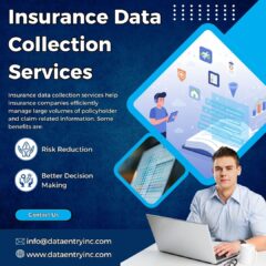 Insurance-Data-Collection-Services