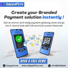 Online-Payment-gateway-clone-scrip-