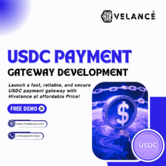 USDC-Payment-Gateway-Development