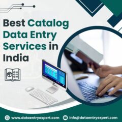 catalog_and_product_data_entry_services
