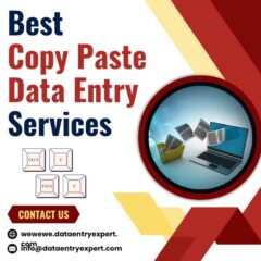 Copy-Paste-Data-Entry-Services-1