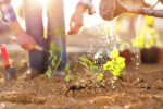 Mowing Melbourne | Lawn Mowing in Melbourne| Grass Cutting Melbourne – I love gardening