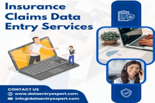 Insurance-Claims-Data-Entry