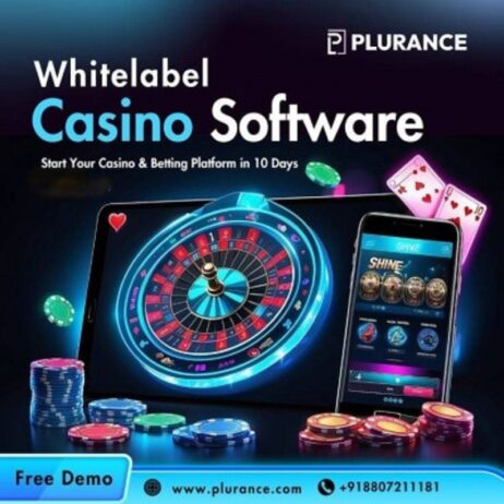 How Does Plurance’s WhiteLabel Casino Software Maximize ROI?
