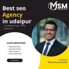 best-seo-agency-in-udaipur-2