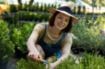 Mowing Melbourne | Lawn Mowing in Melbourne| Grass Cutting Melbourne – I love gardening