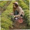 Lawn Mowing Services Hoppers Crossing | Lawn Mowers Hoppers Crossing – I love gardening
