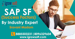 sapsf6