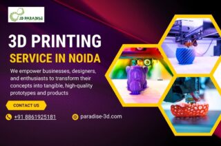 service-in-Noida