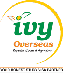 IVY-Logo-bottom-line-resized-1-1