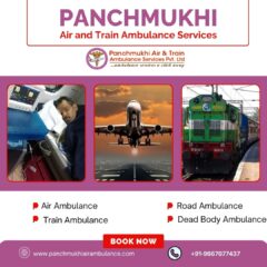 Low-cost-Air-and-Train-Ambulance-in-Patna-with-Expert-Medical-Staff