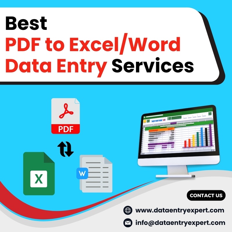 Best PDF to Word/Excel Data Entry Services in India