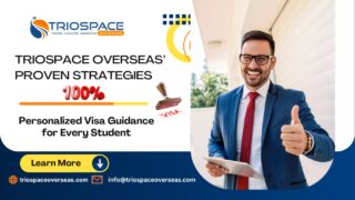 100-Visa-Success-Rate-TrioSpace-Overseas-Proven-Strategies