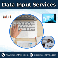 Data-Input-Services