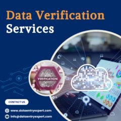 data-verification-Services-1