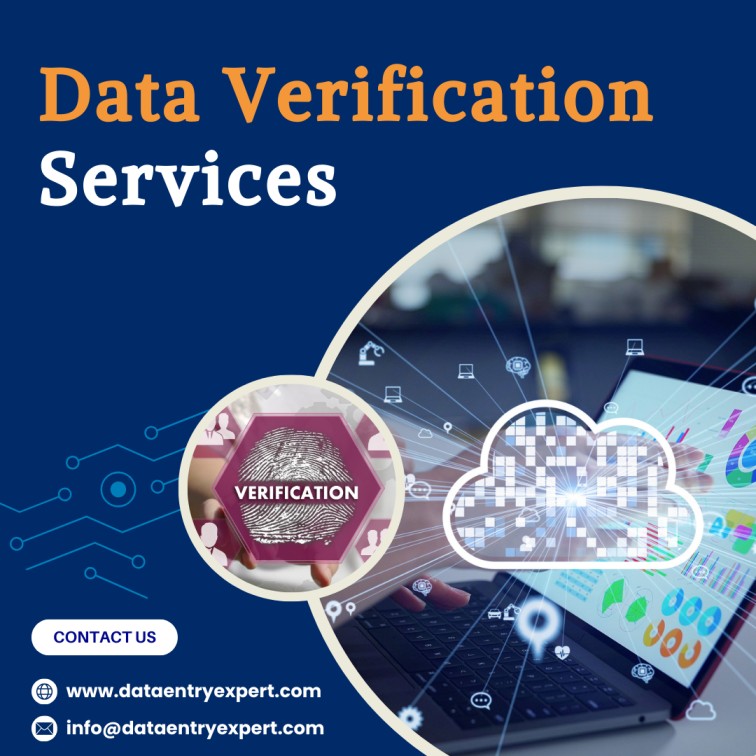 Outsource Data Verification Services in India