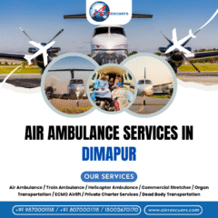 Air-Ambulance-Services-in-dimapur-1