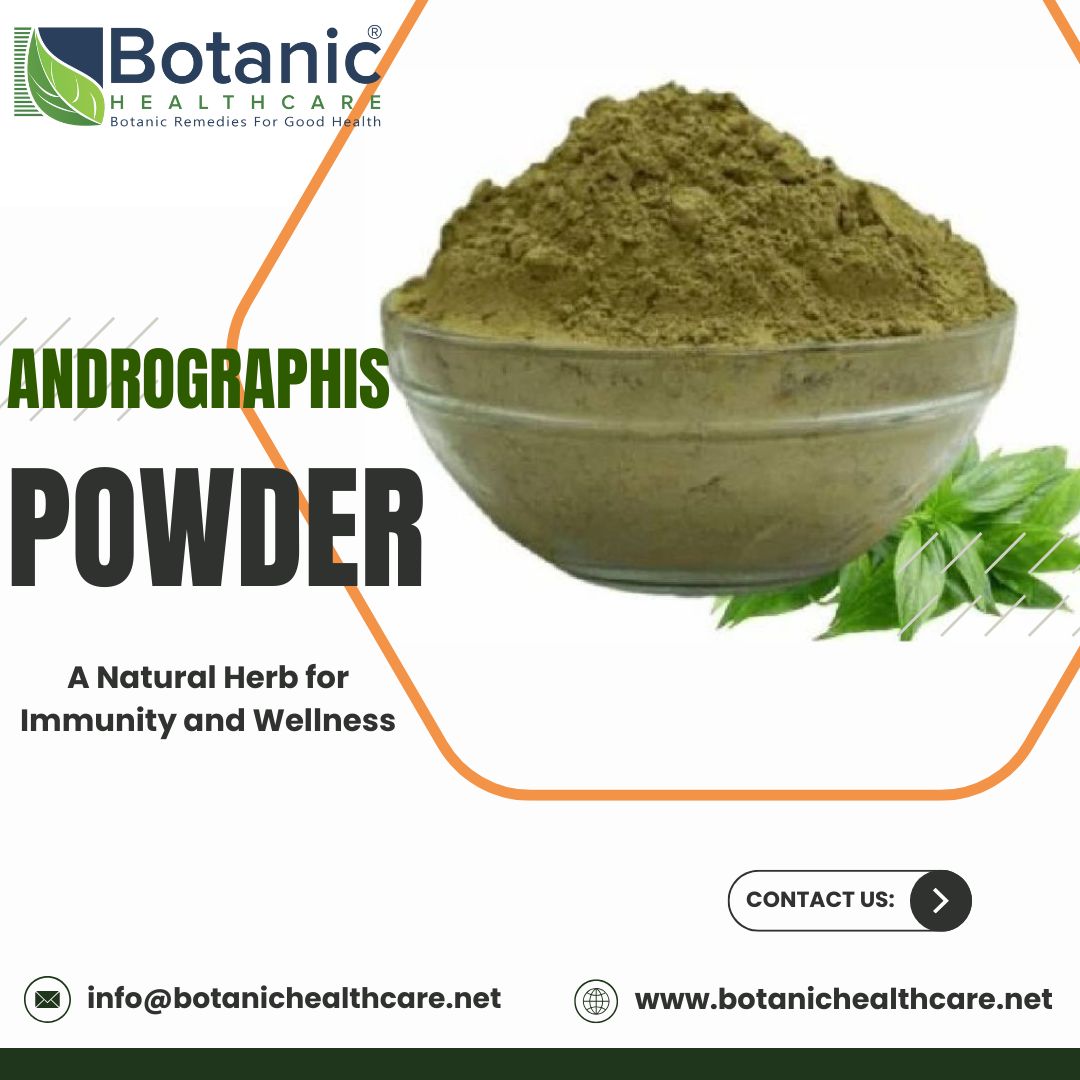 Andrographis Powder – Natural Herbal Ingredient for Immunity Support