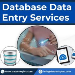 Database-Data-Entry-Service