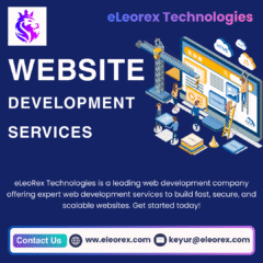 Website-Development