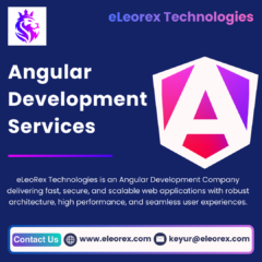 Angular-Development-Services-