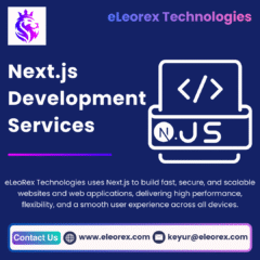 Next.js-development-1