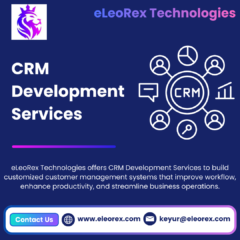 Home 3 Custom-Development-Services-1