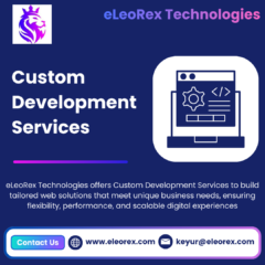 Custom-Development-Services