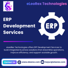 ERP-Development-Services