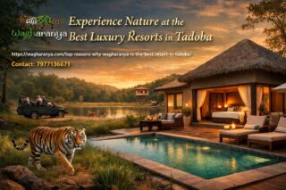 Wagharanya-resort_-luxury-amid-nature-1