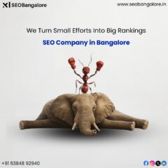 We-Turn-Small-Efforts-Into-Big-Rankings