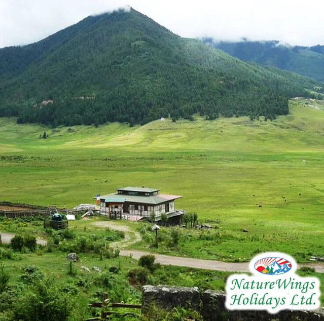 Bhutan Package Tour from Delhi – Discover Hidden Himalayan Treasures