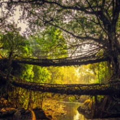 north-east-india-package-from-guwahati-airport