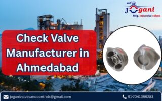 Check-Valve-Manufacturer-in-Ahmedabad