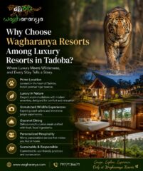 Searching-for-the-perfect-luxury-resorts-in-Tadoba-safar