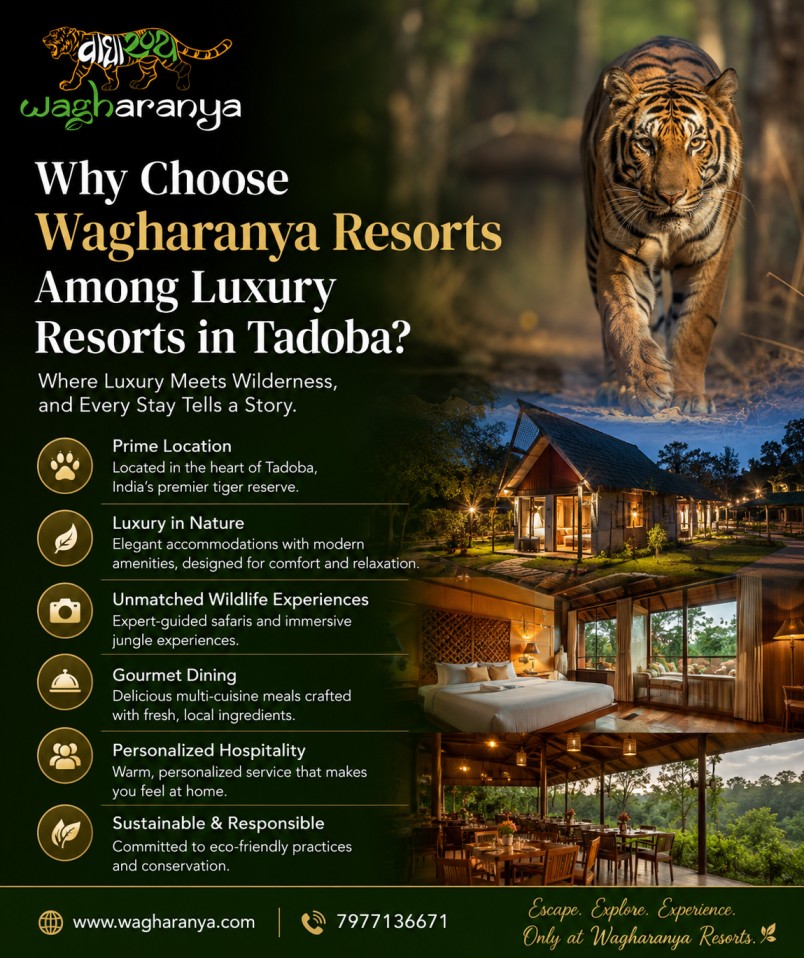 Why Choose Wagharanya Resorts Among Luxury Resorts, Chandrapur