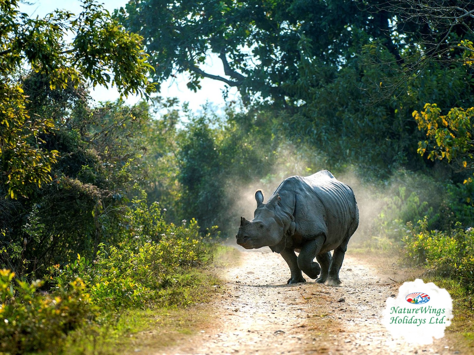 Discover the Magic of the Himalayas with a Premium Tawang Tour Package