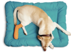 Boulevard Animal Hospital