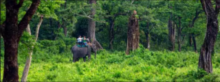 Home 3 dooars-package-tour-from-kolkata-naturewings-holidays
