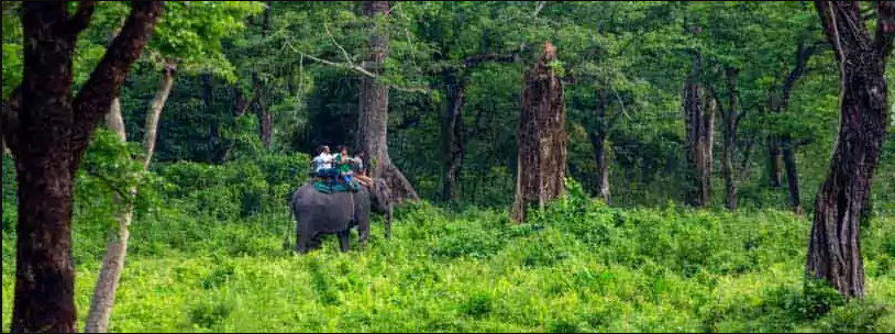 Best Rated Vietnam Tour Packages from Kolkata by NatureWings Holidays Limited