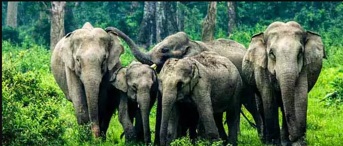 Best Rated Vietnam Tour Packages from Kolkata by NatureWings Holidays Limited