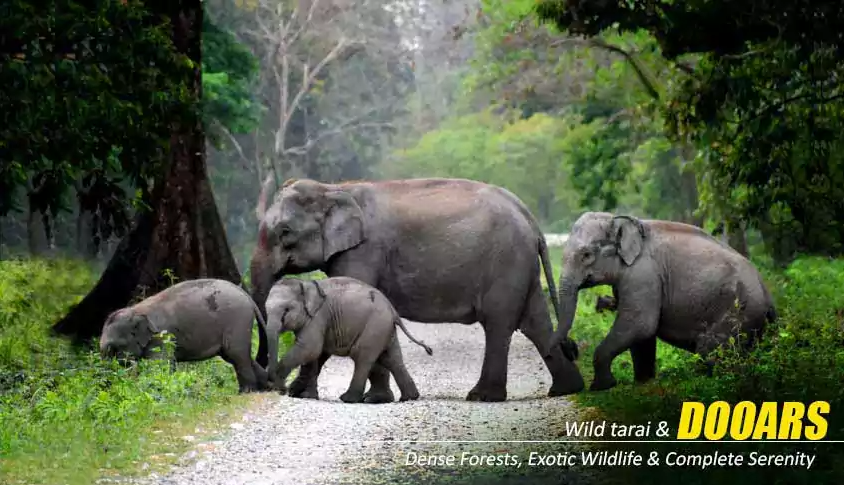 Best Rated Vietnam Tour Packages from Kolkata by NatureWings Holidays Limited