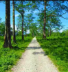 Best Rated Vietnam Tour Packages from Kolkata by NatureWings Holidays Limited