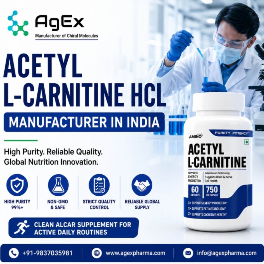 Sourcing Excellence from Acetyl L-Carnitine HCL Manufacturer in India