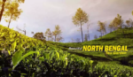 North Bengal Tour Packages from NJP & Kolkata: 2026 Best Itineraries || NatureWings Holidays Limited