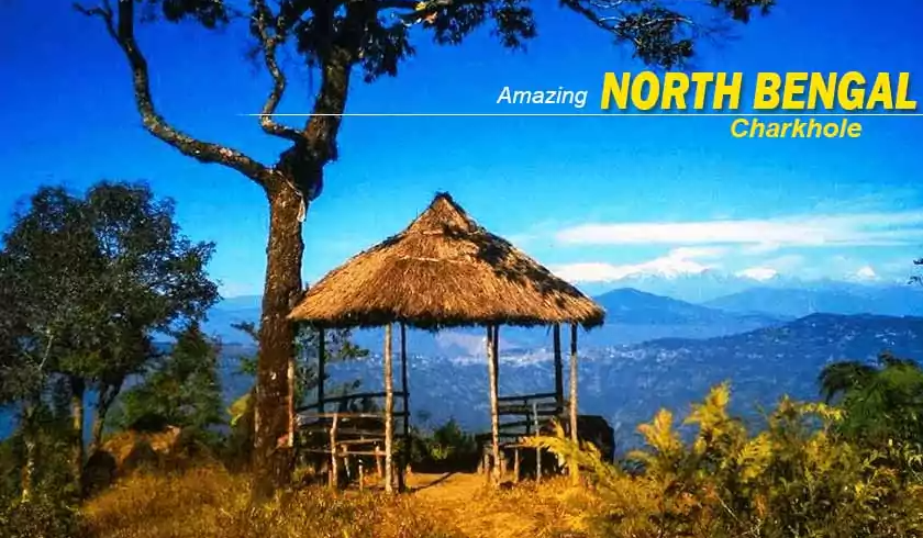 North Bengal Tour Packages from NJP & Kolkata: 2026 Best Itineraries || NatureWings Holidays Limited
