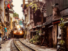 Premium Vietnam Tour Packages from Kolkata with Direct Flight Options || NatureWings Holidays Limited