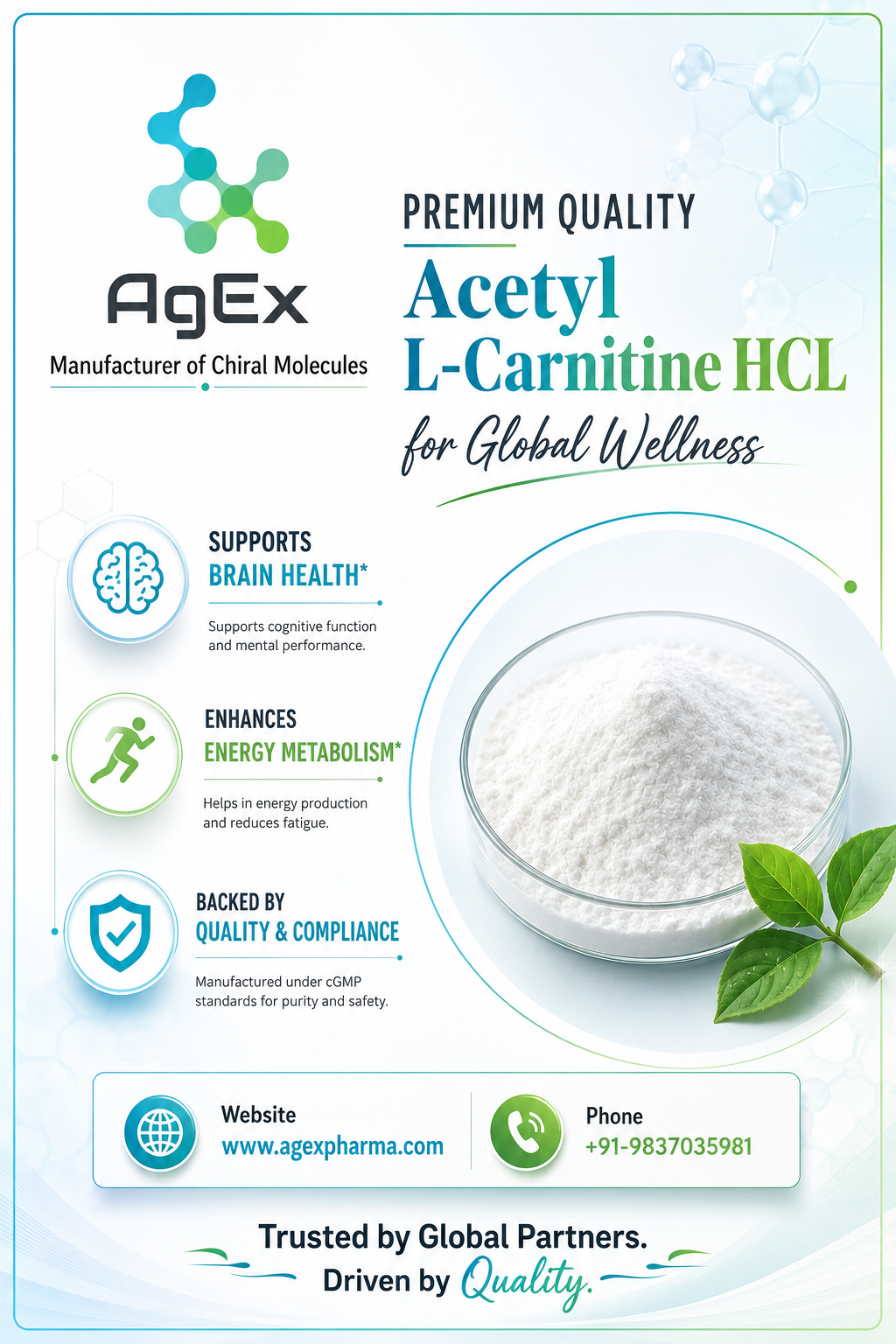 Premium Bulk Supply by Acetyl L-Carnitine HCL Manufacturer in India