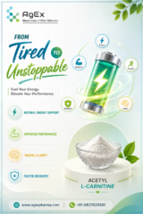 From-Tired-to-Unstoppable-How-Carnitine-Changed-Everything
