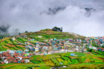 Complete Kodaikanal Tour Packages – Peter Holidays